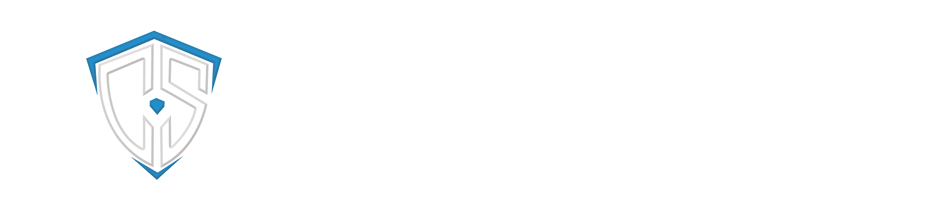 CYBER SPOT logo academy ethical hacking